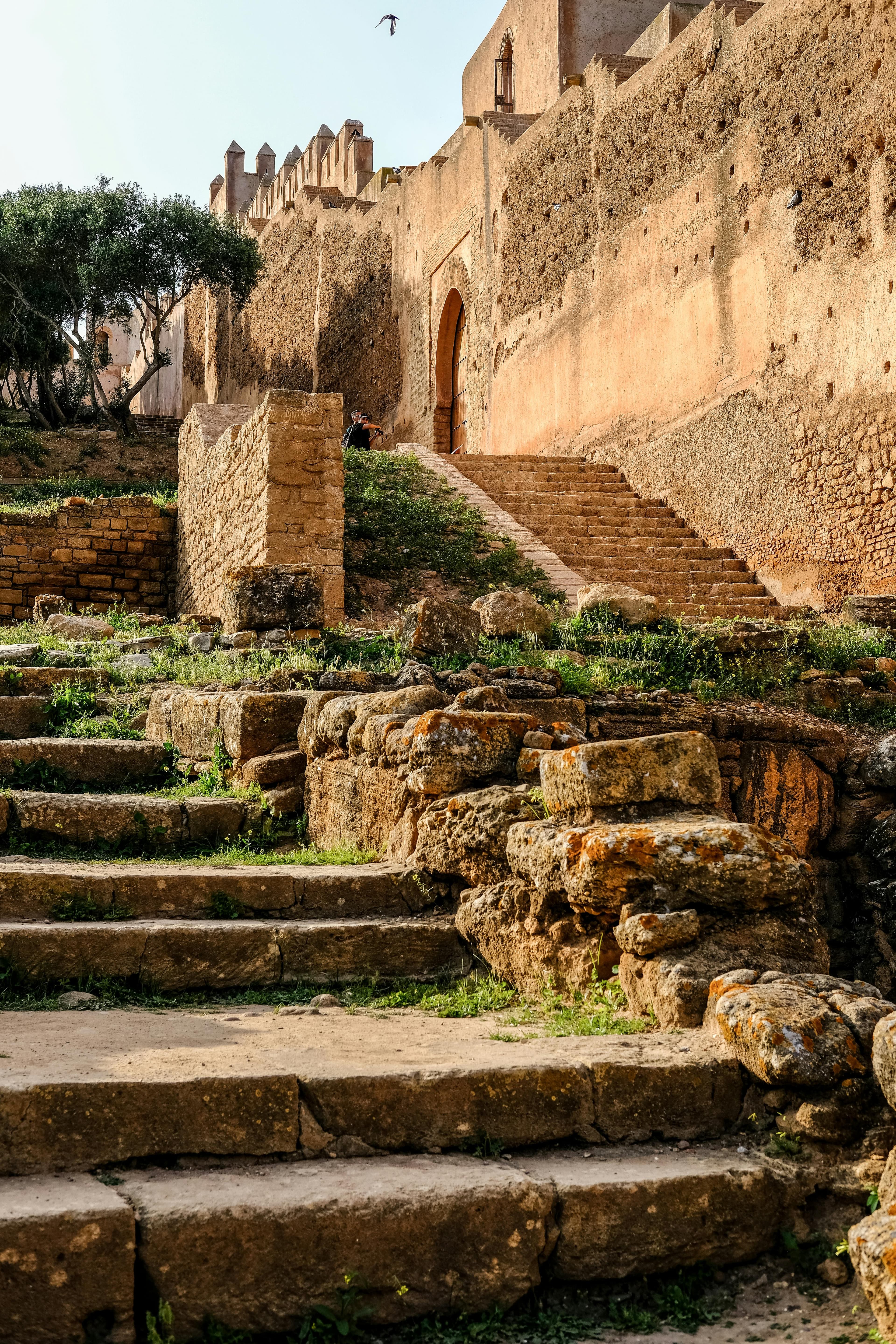 Skoura: The Valley of Palms and Kasbahs